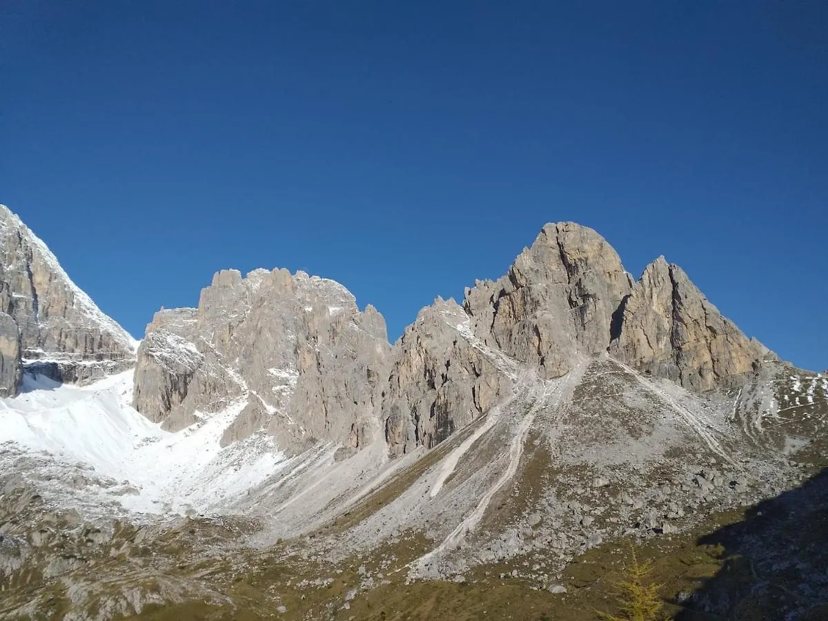 Casa D'Ambros 0*, Candide